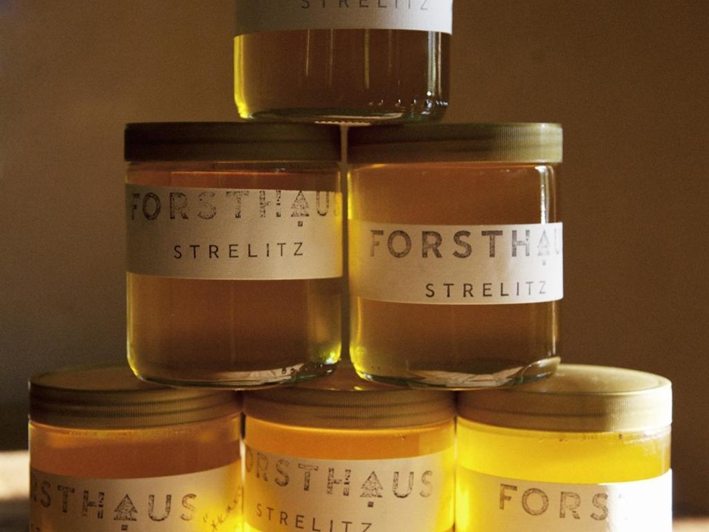 Hotel Forsthaus Strelitz Neustrelitz Pokoj fotografie